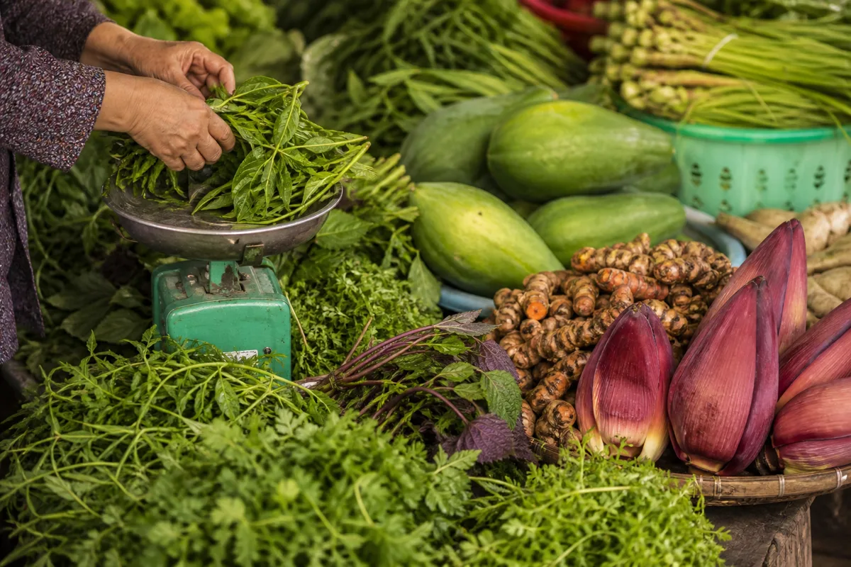 Editorial illustration of herbs, green papaya, banana blossom and fresh turmeric at a produce stall