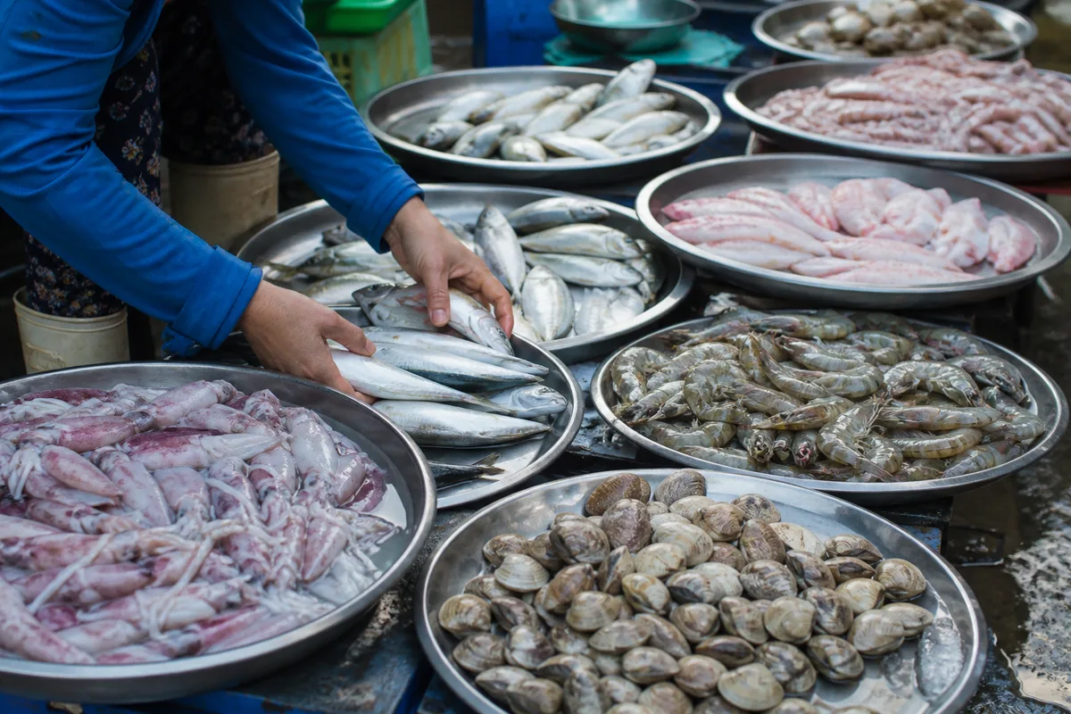 Editorial illustration of a working seafood stall with fish, shrimp and shellfish