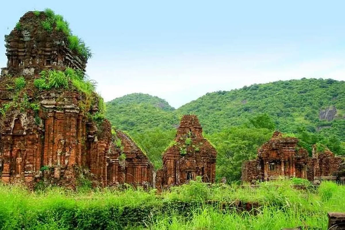 Private guided visit to My Son Sanctuary